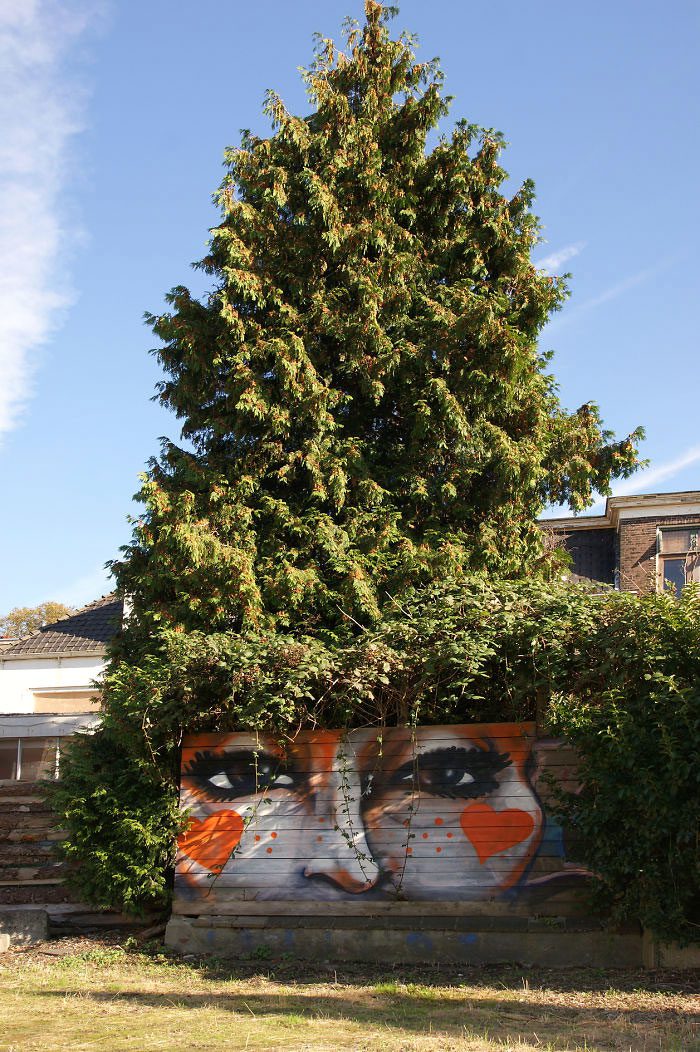 26-Street-Art-with-Nature-16