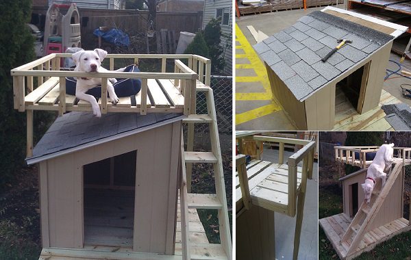 10 Free Dog House Plans - iCreatived