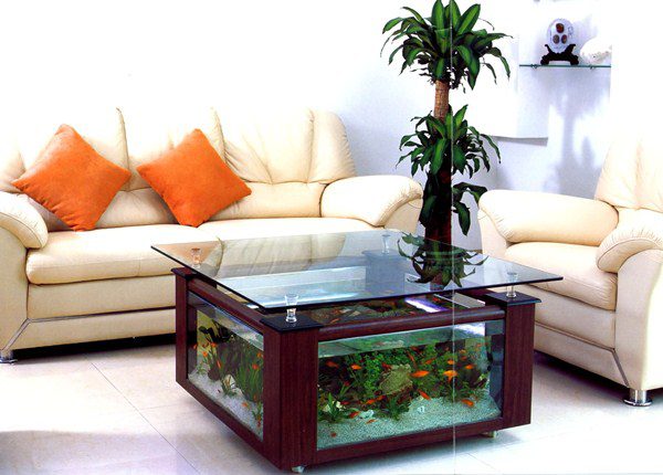 Совмещение аквариума с кофейным столиком