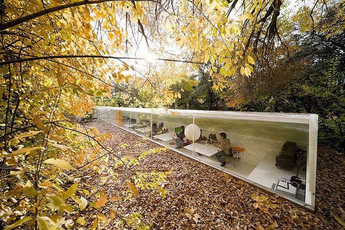 Architecture-Office-in-The-Middle-of-the-Madrid-Woods-05