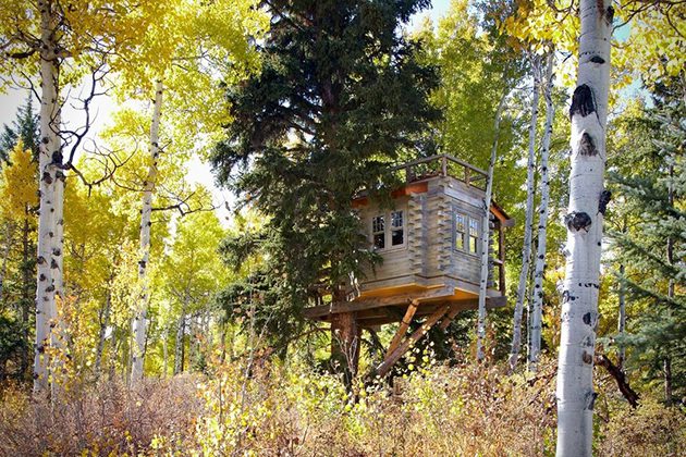 Tree-House-For-the-Grown_ups-in-Colorado-03