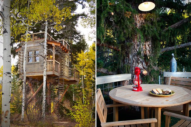 Tree-House-For-the-Grown_ups-in-Colorado-05