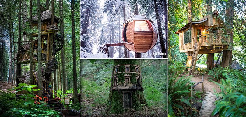 25 Most Beautiful Tree Houses From All Over The World  iCreatived