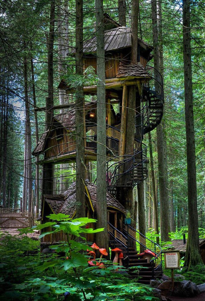 25-Most-Beautiful-Tree-Houses-From-All-Over-The-World-01