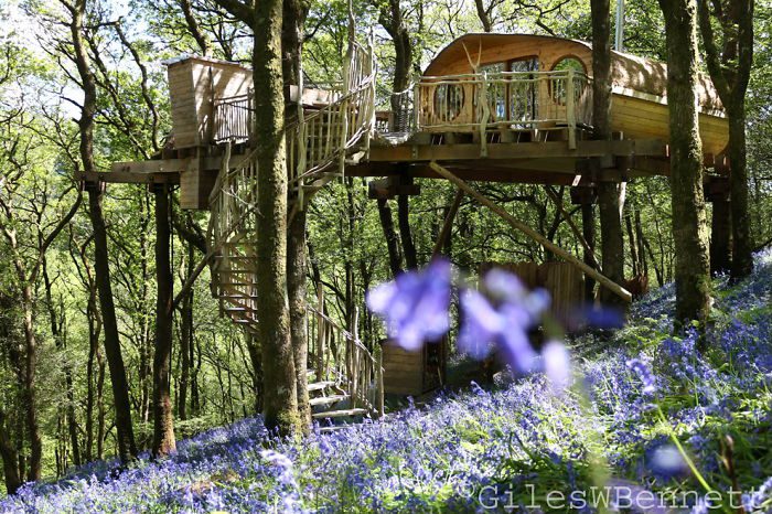 25-Most-Beautiful-Tree-Houses-From-All-Over-The-World-05