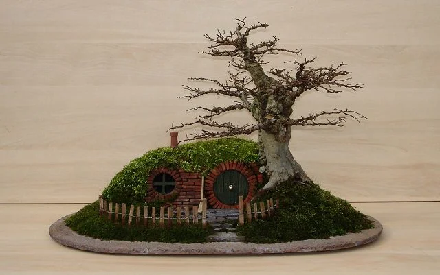 what is bonsai soil Bonsai Soil main image 1