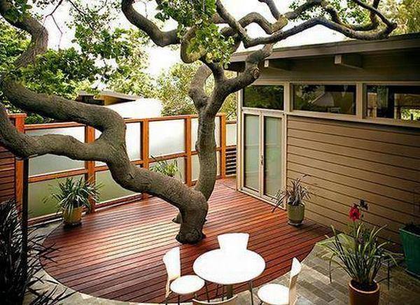 25 Designs which Respect The Trees 2