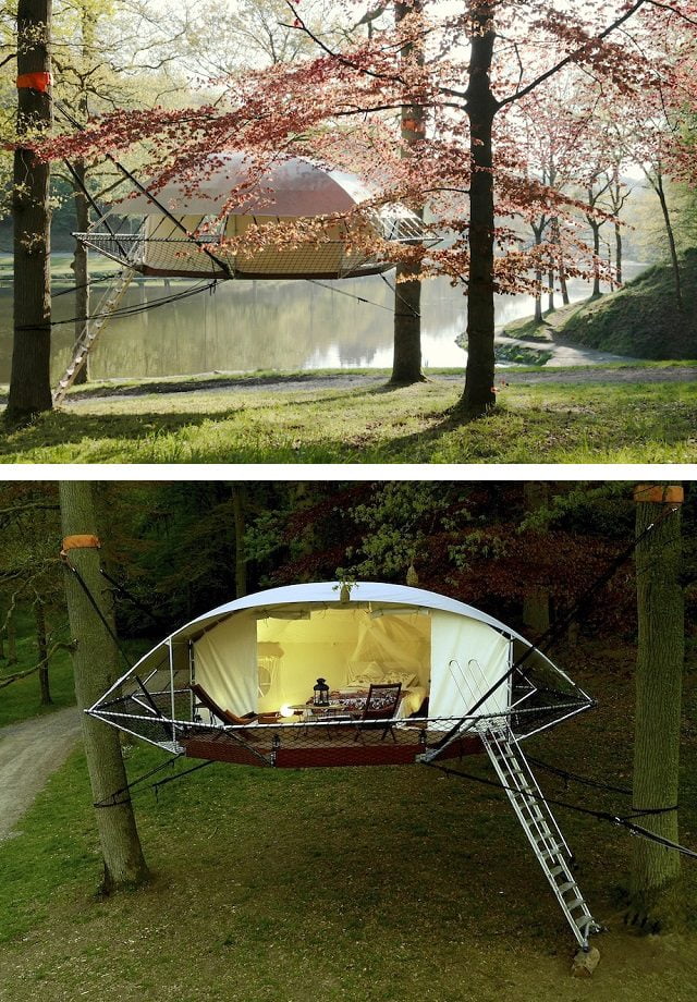 Amazing Dom’Up Treehouse That You'll Never Want to Leave!