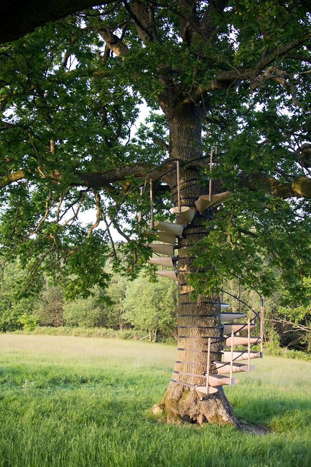 Spiral Staircase For Your Backyard Tree 5