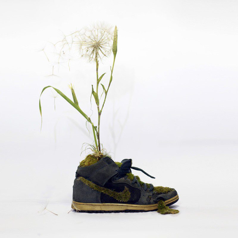French Artist Monsieur Plant Combines Sneakers With Nature 13