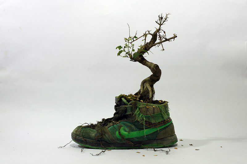 French Artist Monsieur Plant Combines Sneakers With Nature 6