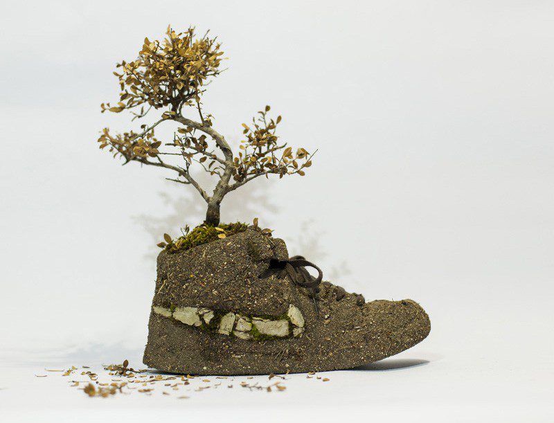 French Artist Monsieur Plant Combines Sneakers With Nature 9