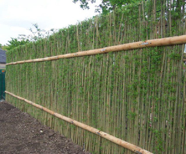 20 Beautiful Examples Of Living Willow Fences 19
