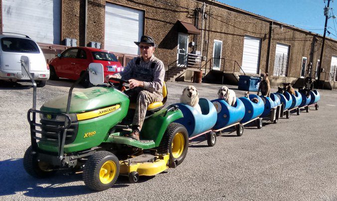 80-year-old-manrescued-dog-train-tractor-stray-eugene-bostick-3