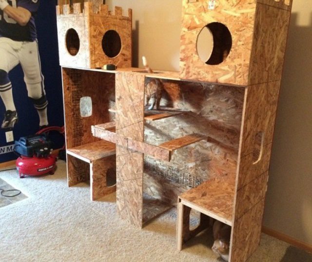 DIY Plywood Cat Castle 3