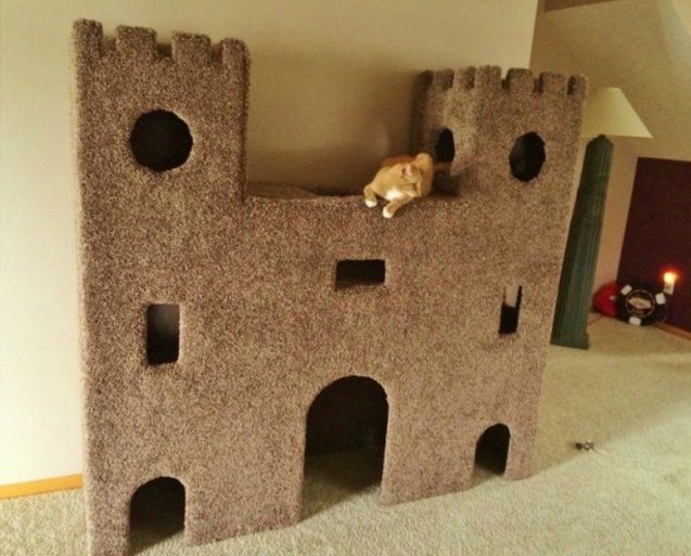 DIY Plywood Cat Castle 6