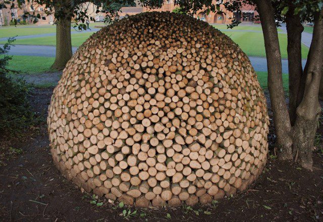 Different Type Of Art Stacking Firewood 11