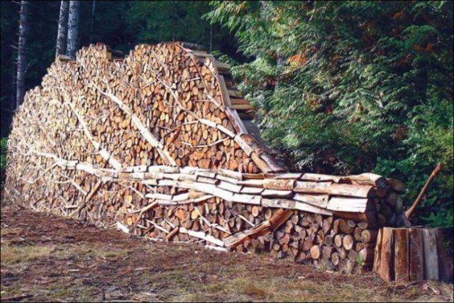 Different Type Of Art Stacking Firewood 12