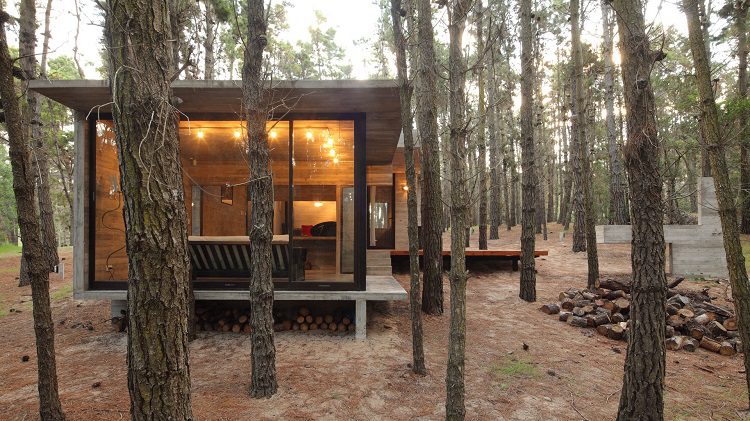 Organic House In The Middle Of Forest 1