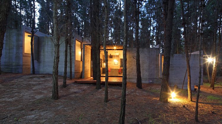 Organic House In The Middle Of Forest 10