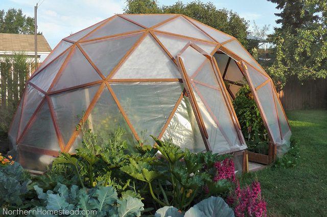 10 Easy DIY Free Greenhouse Plans 9