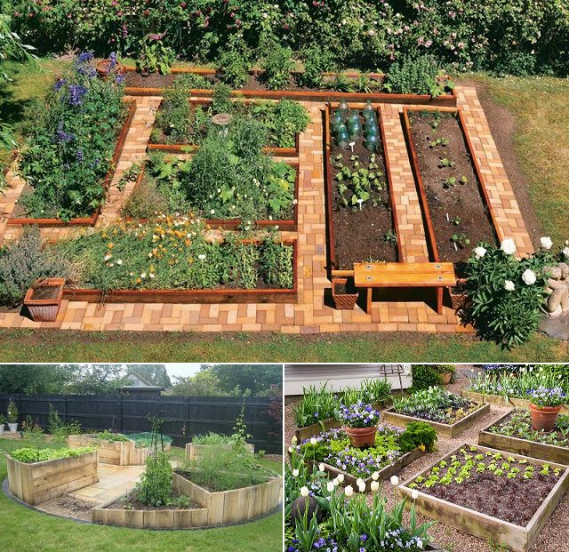 How to Build A U-Shaped Raised Garden Bed | iCreatived