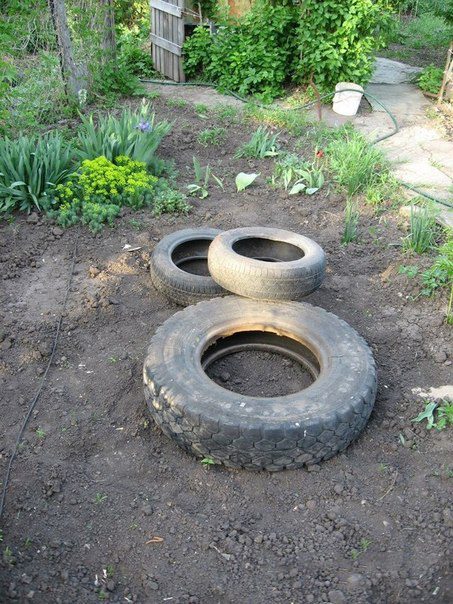 How to Build Relaxing Pond in Your Garden From Recycled Tires
