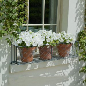 Metal Window Box with White Flowers in Terracotta Pots