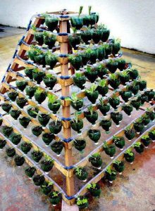 Pyramid Plastic Bottle Garden