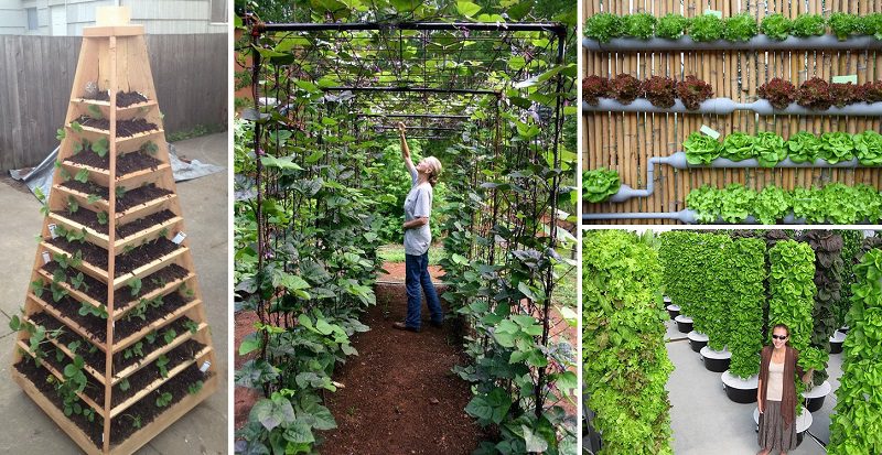 Vertical Garden Ideas For Converting Small Spaces Into A Large Crop