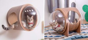 Unique Pet Furniture Spaceship-Inspired Cat Beds