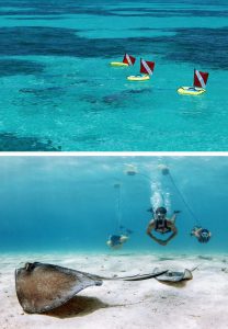 World's Smallest Diving Equipment