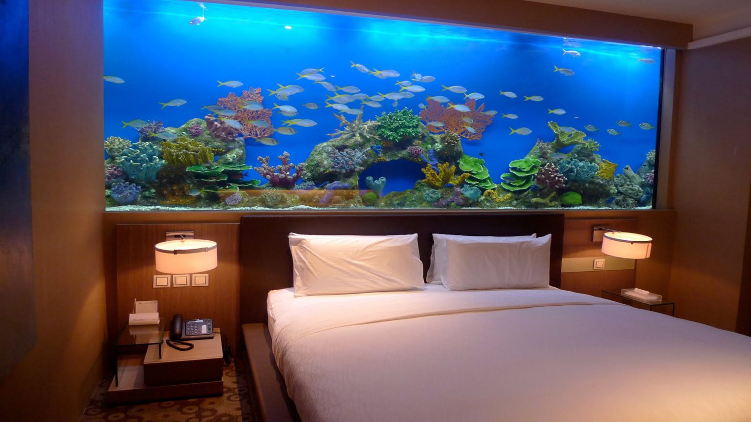 Awesome Aquarium Bed iCreatived