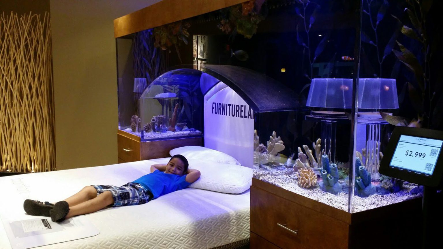 Awesome Aquarium Bed iCreatived