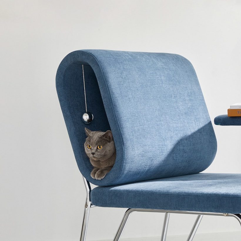 The Sharing Joy: Designed by Zhe Gao for Humans and Cats 