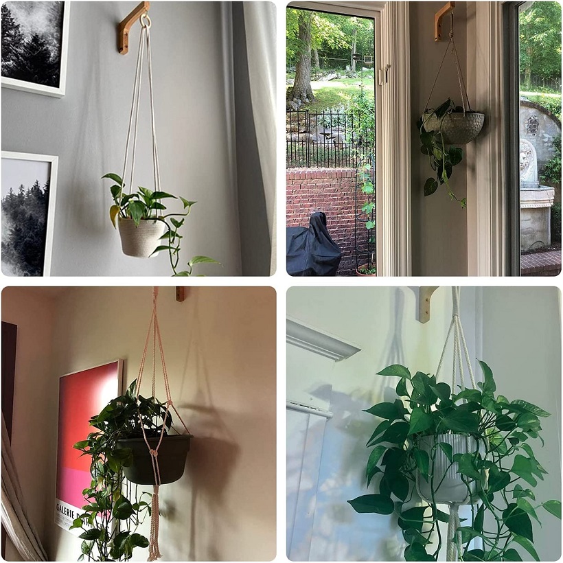hanging plant stands