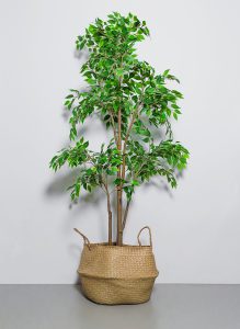 authentic basket for plants