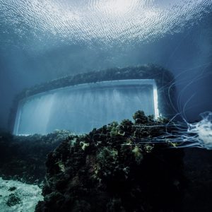 underwater photoes of the restaurant
