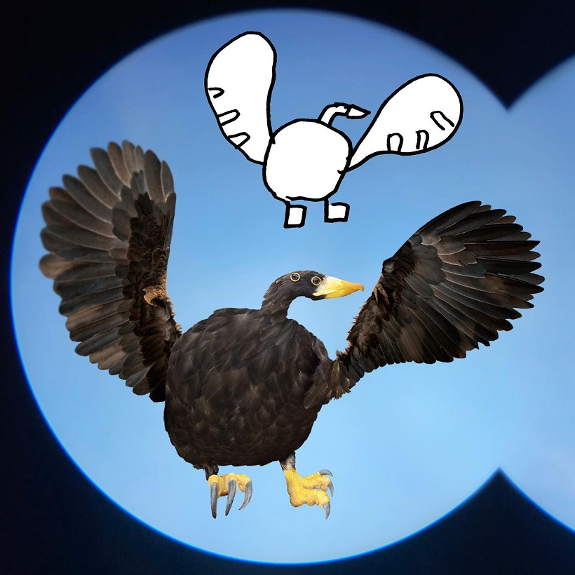 a photoshopped eagle