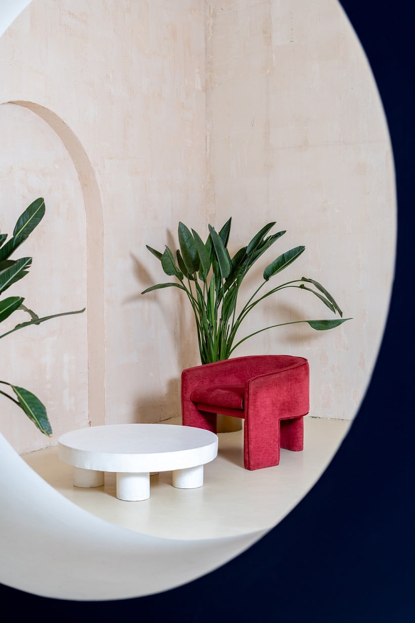 choose plants for your urban jungle