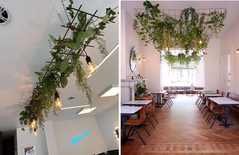 ceiling design with plants
