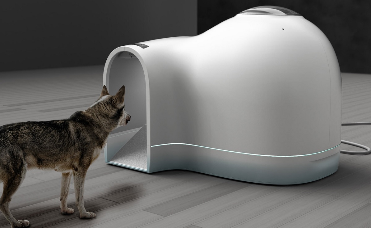 Doggy Igloo will Change Your Perspective on Doghouses!