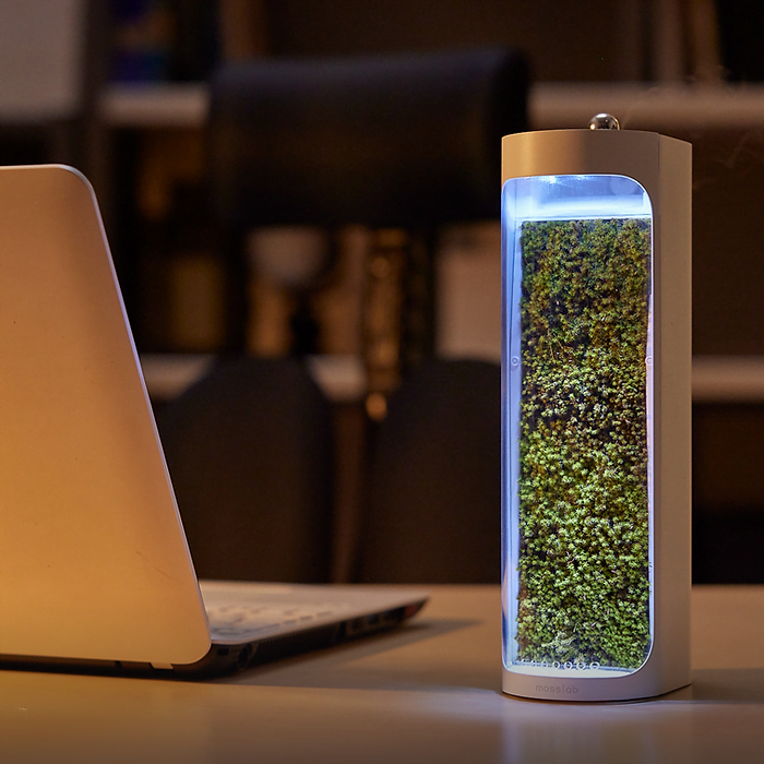 Moss Air Is an Air Humidifying Terrarium