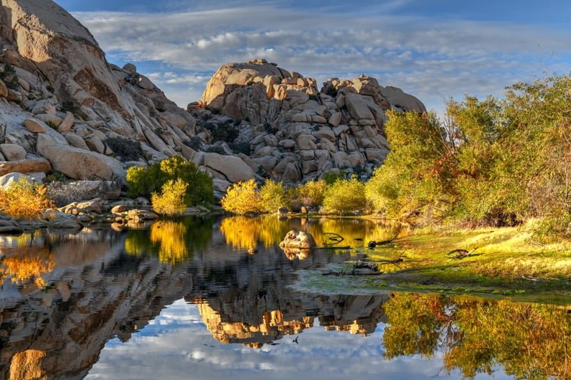 Joshua Tree National Park, California
