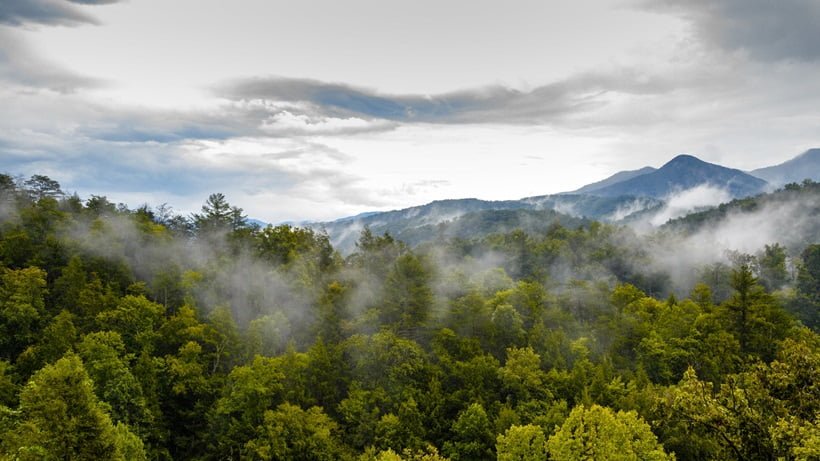 Great Smoky Mountains National Park, Tennessee/North Carolina