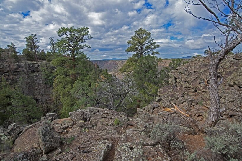 Cebolla Mesa, New Mexico