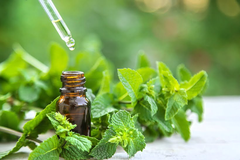 peppermint oil