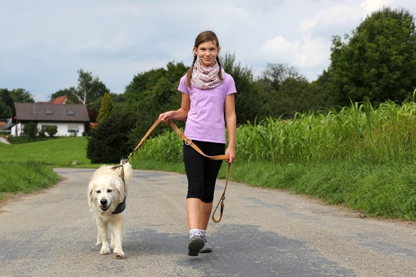 a girl walking with her leashed pet