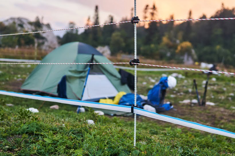 electric fence to prevent animal attack