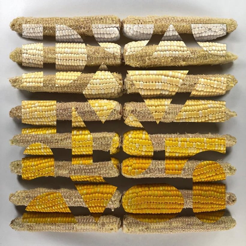 corn design by Adam Hill